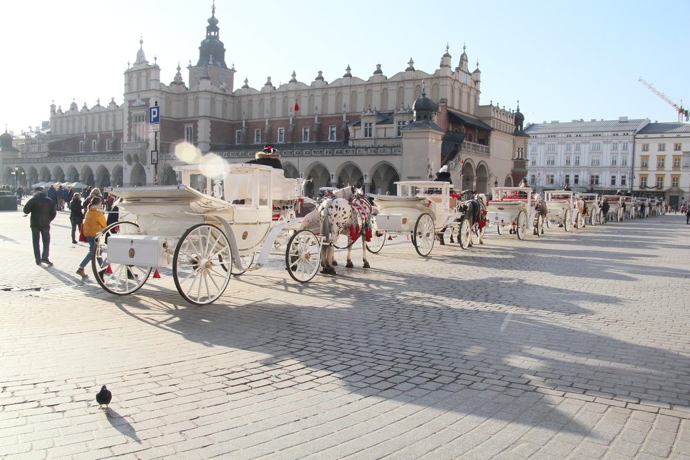 Photograph by Александр Стахорский