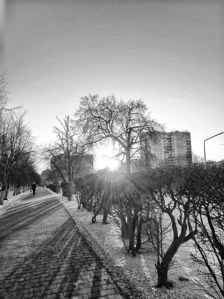 Photograph by Алеся Писнова