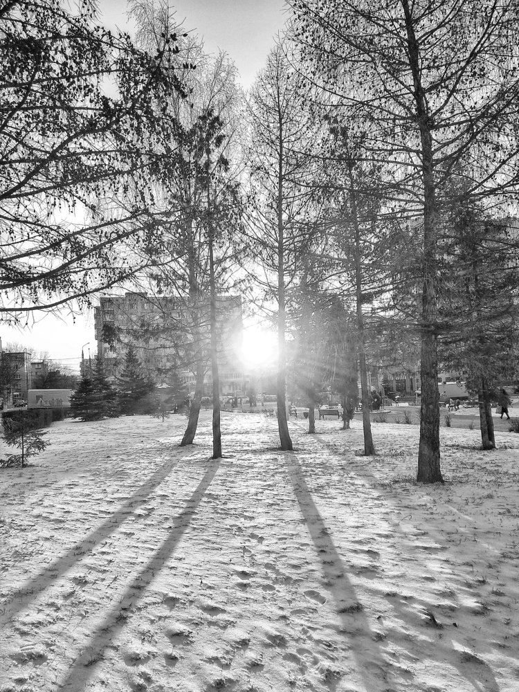 Photograph by Алеся Писнова