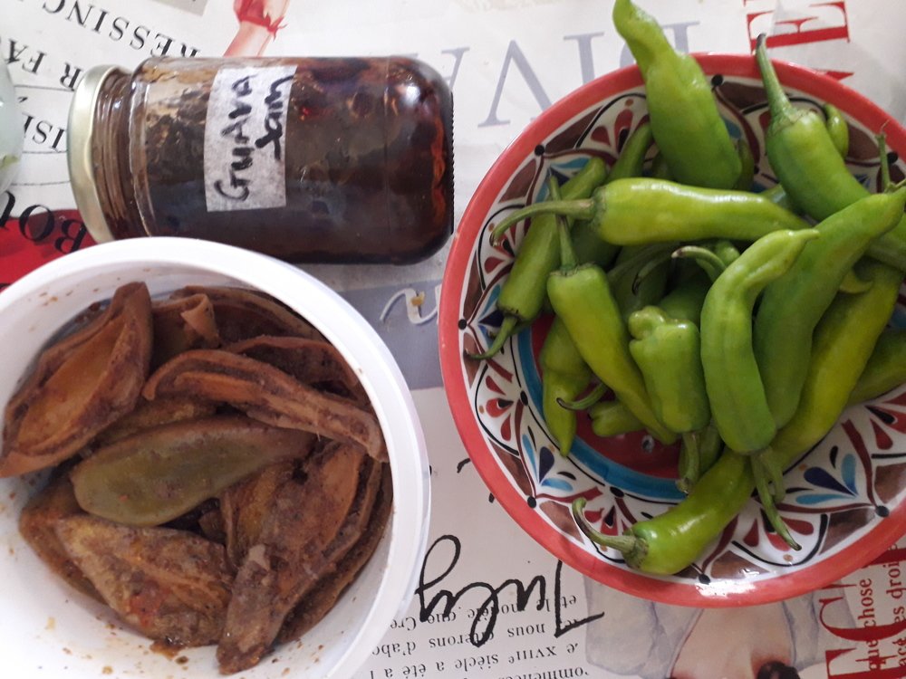 Photo #4287727