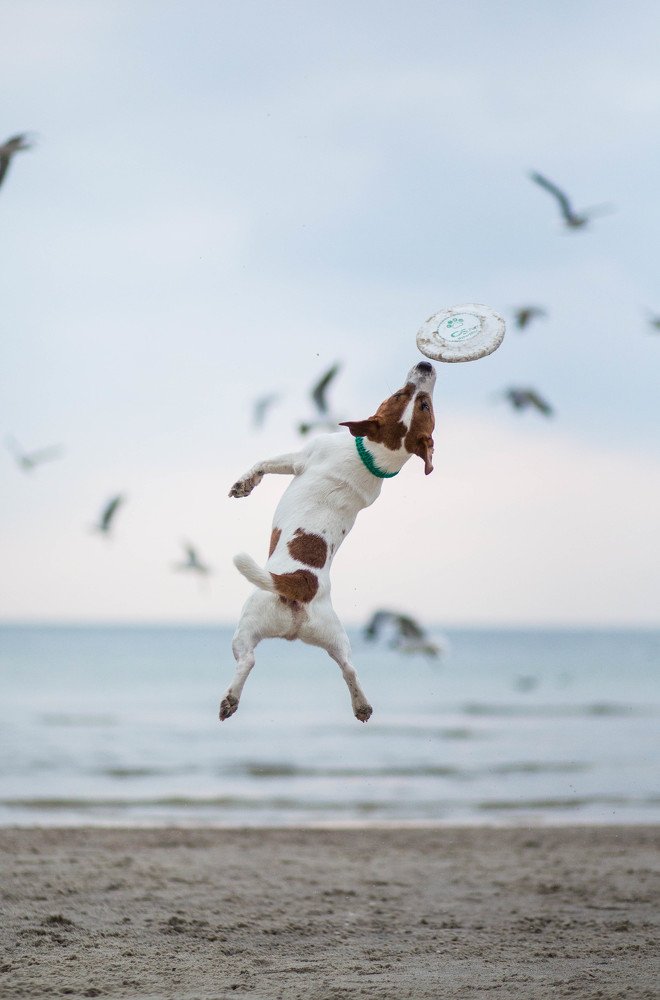 Photograph by Марина Колобанова