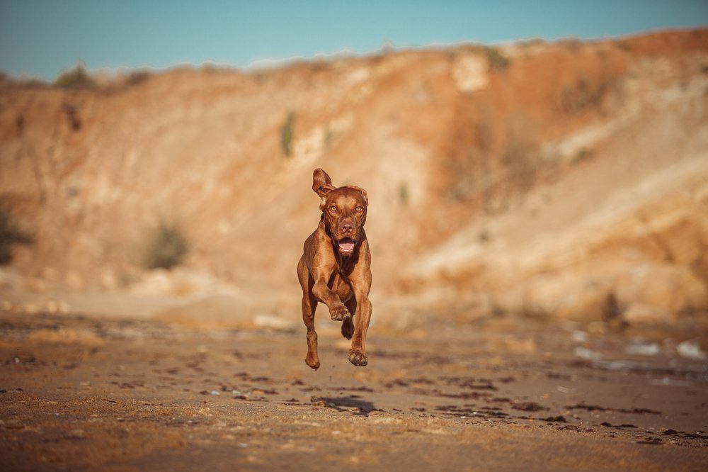 Photograph by Марина Колобанова