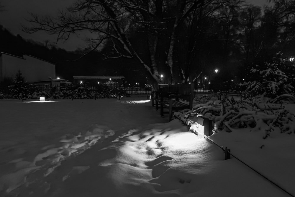 Photograph by Людмила Казак