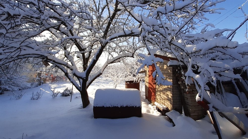 Photograph by ИГОРЬ