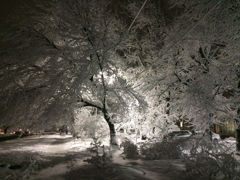 Вечерняя прогулка.