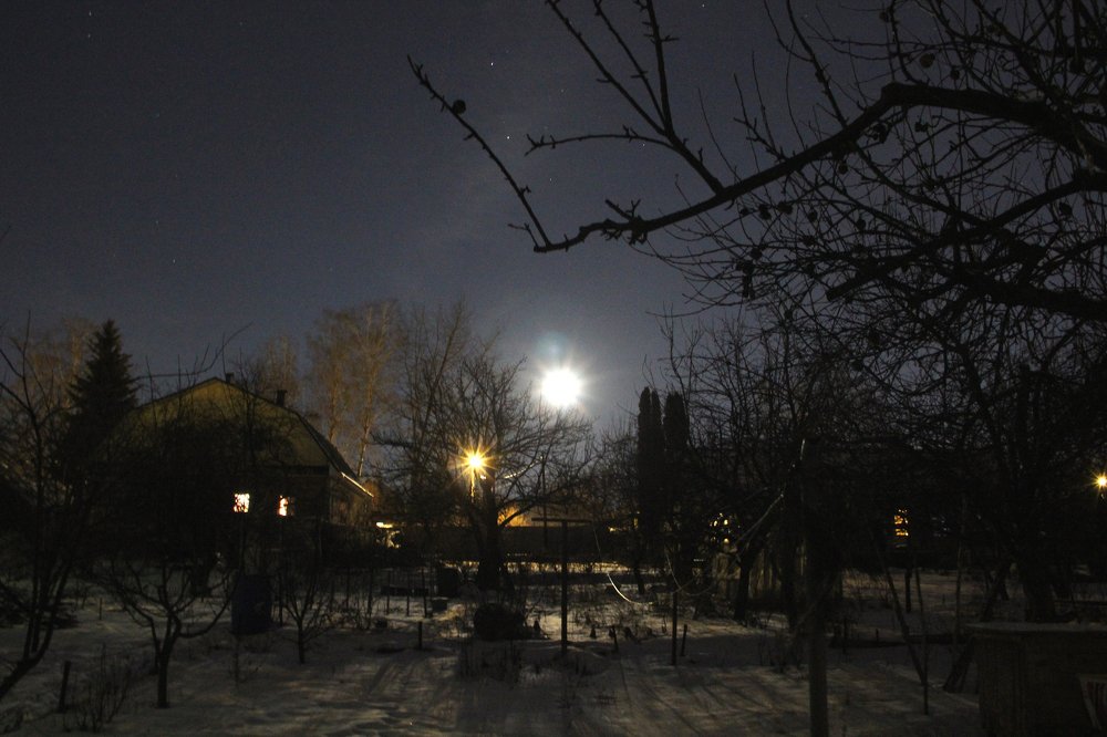 Photograph by Любовь Григорьева