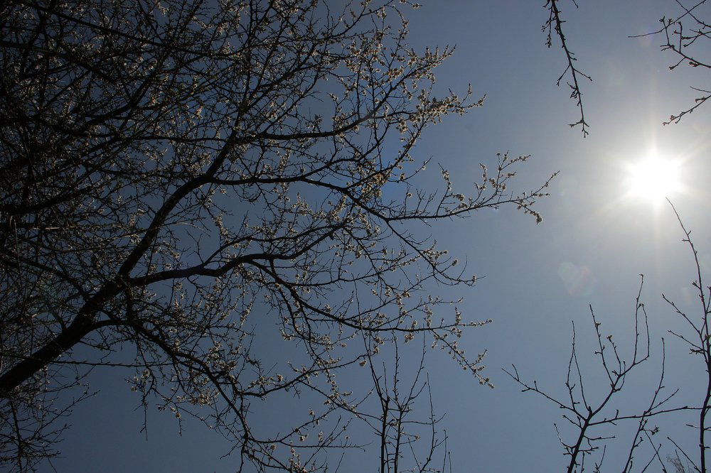 Photograph by Любовь Григорьева