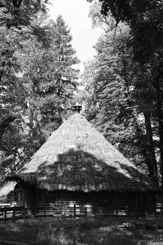 Photograph by Любовь Григорьева