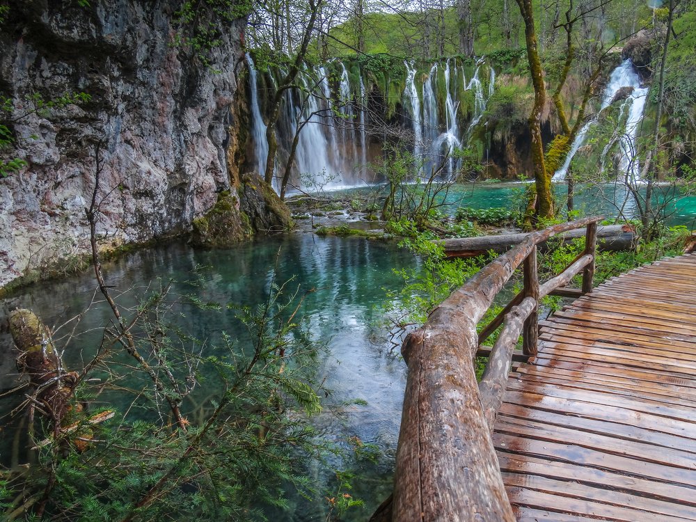 Photograph by Lazaroff Classic