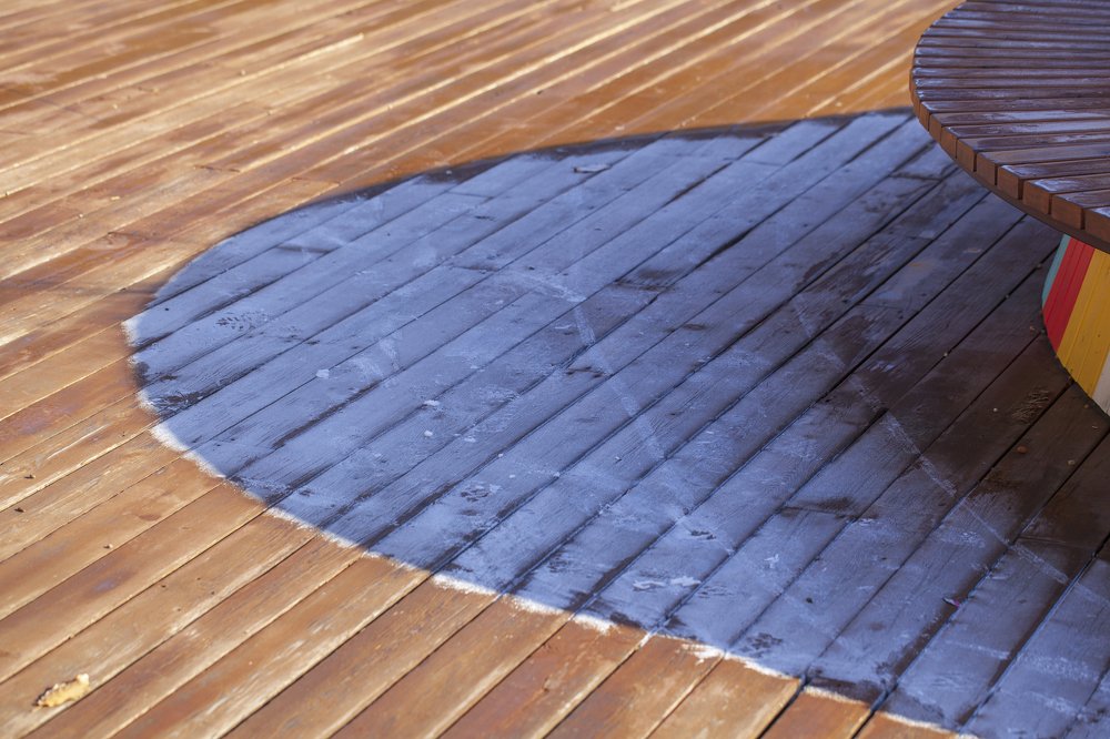 Фотография автора евгений митрошин