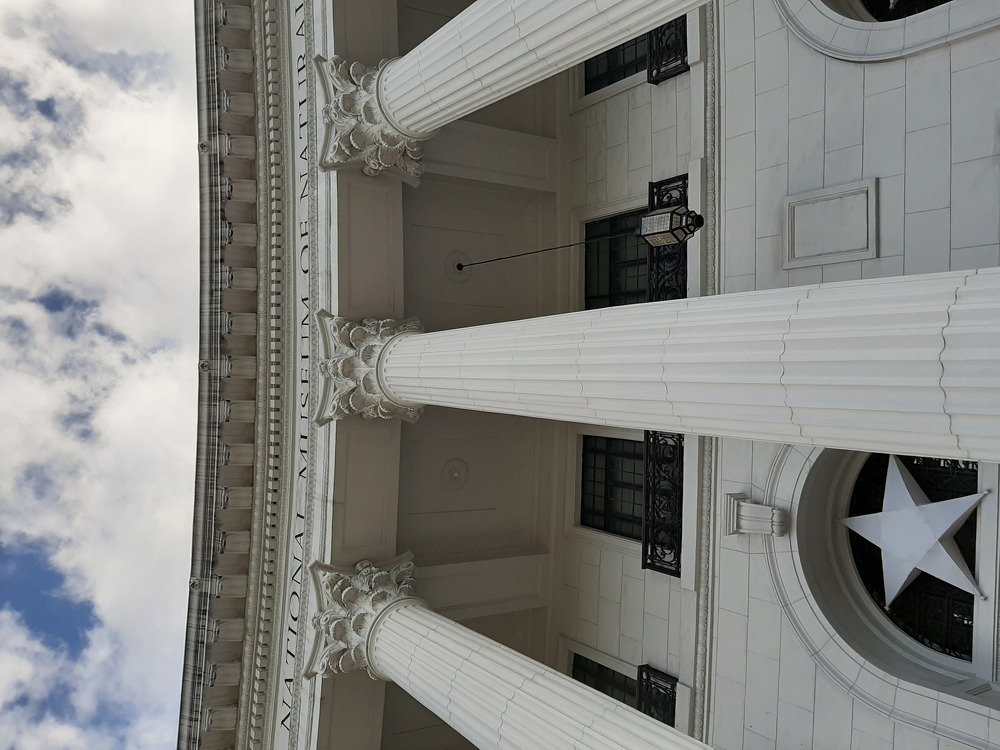 Photo #4288077