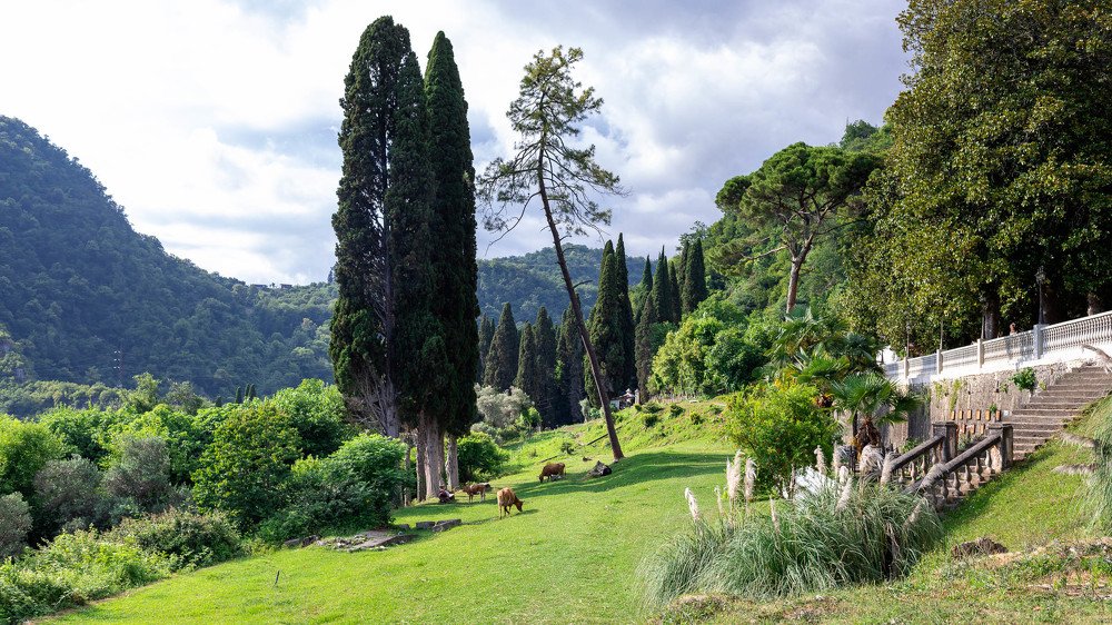 Photograph by Гордеева Виктория