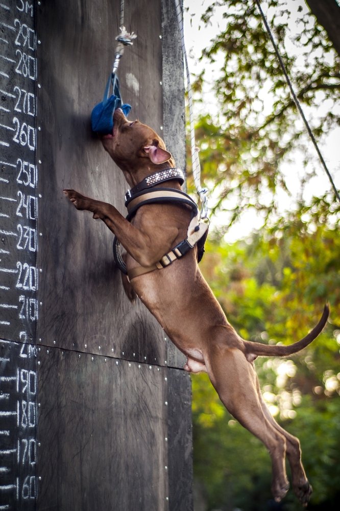 Photograph by Виола Поликарпова