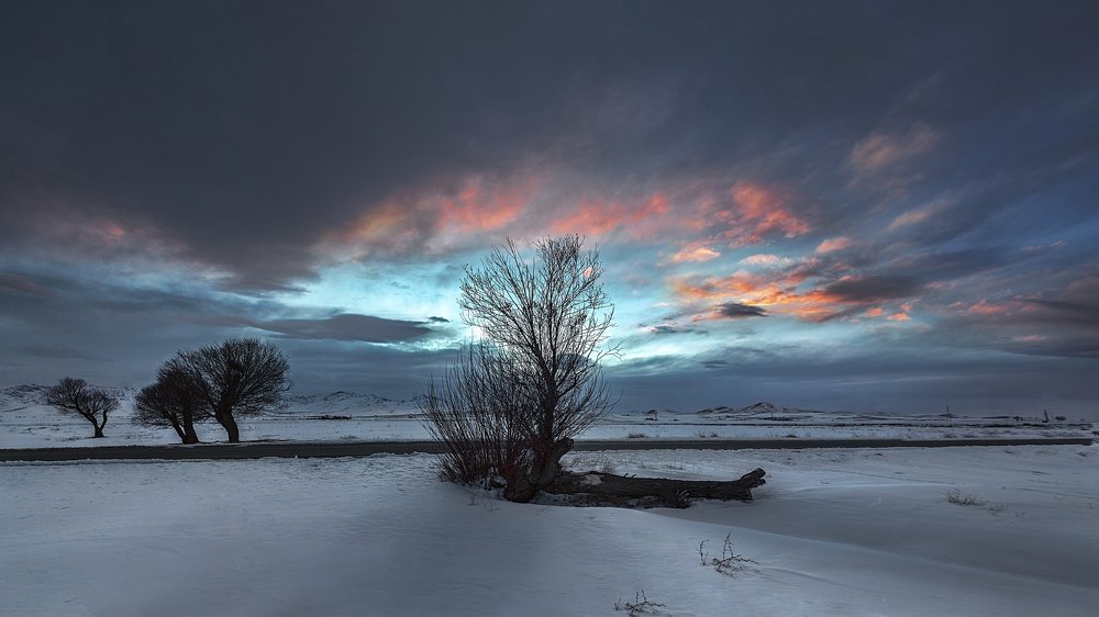 Фотография автора majid arab