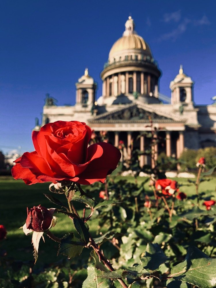 Вдохновение