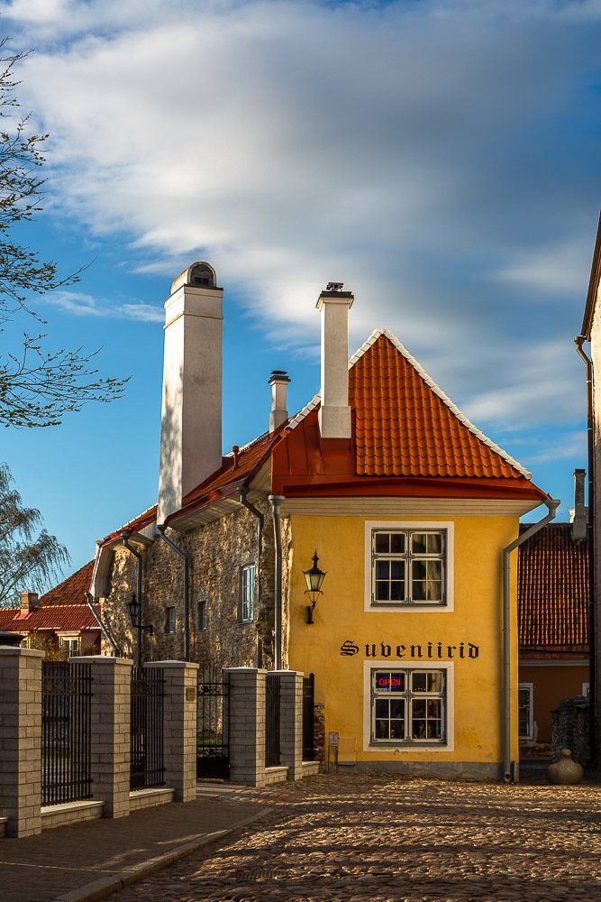 Photograph by Eriks Zilbalodis