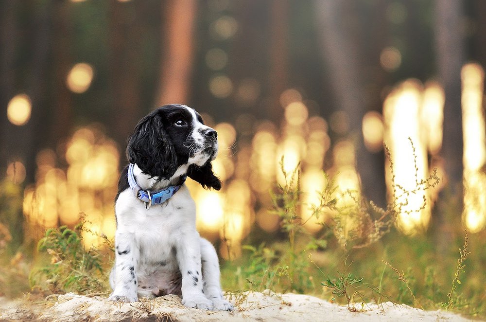 Photograph by Екатерина Коваленко