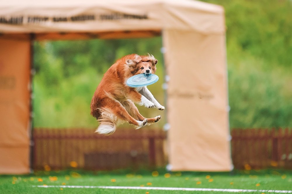 Photograph by Екатерина Коваленко