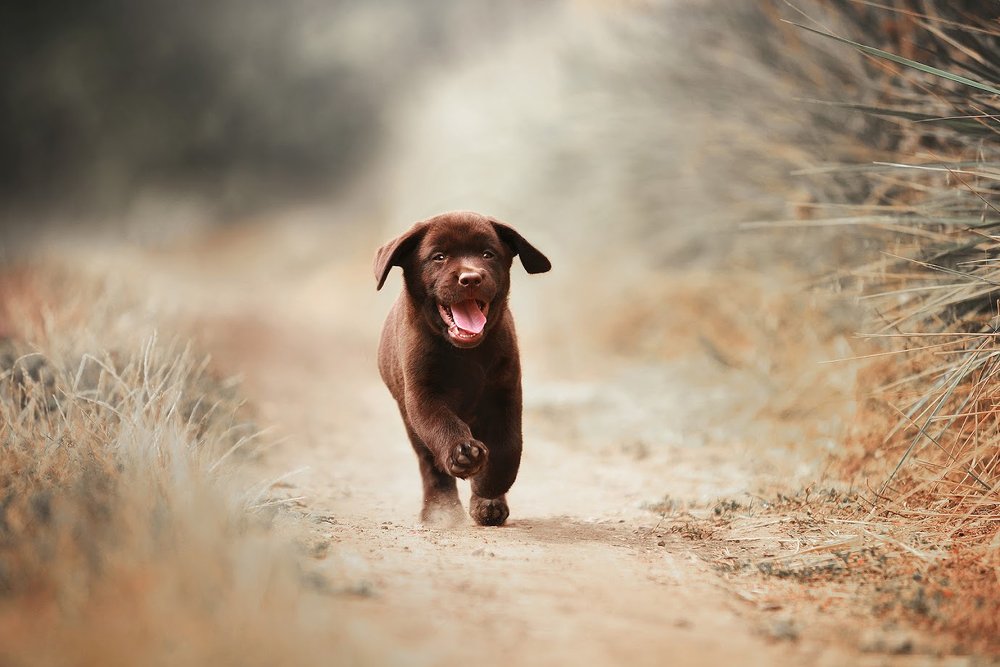 Photograph by Екатерина Коваленко