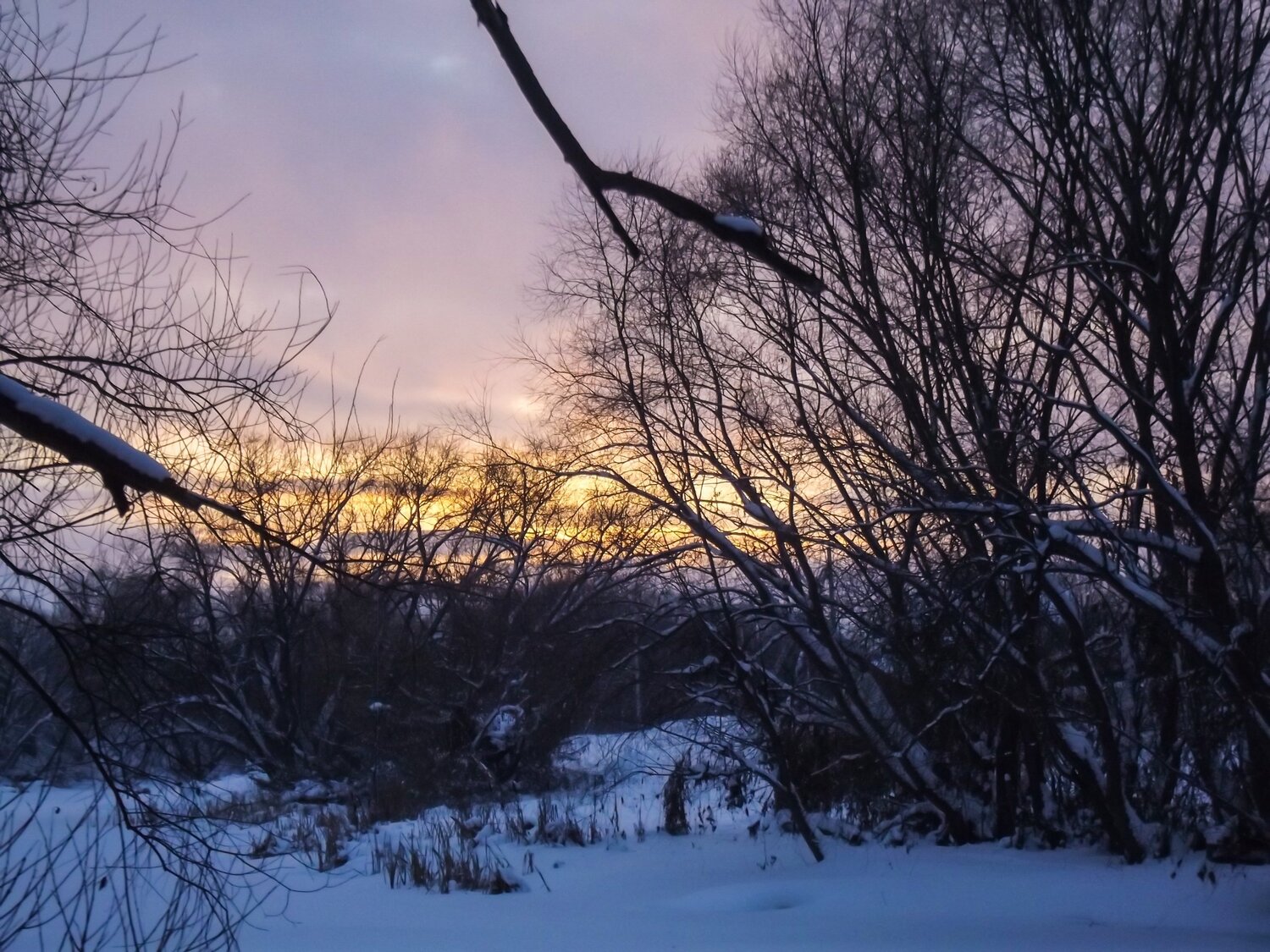 Photo #4288595