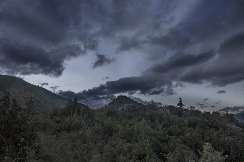 Photograph by Monica Macri