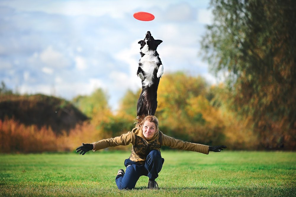 Photograph by Екатерина Коваленко