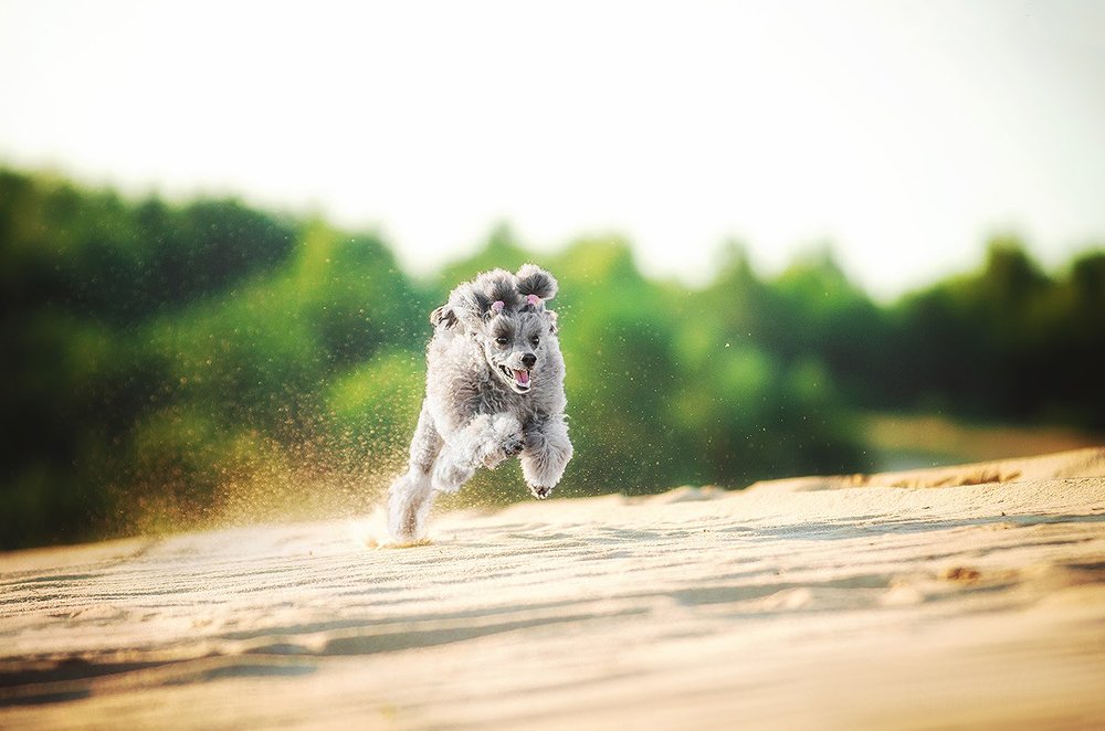 Photograph by Екатерина Коваленко