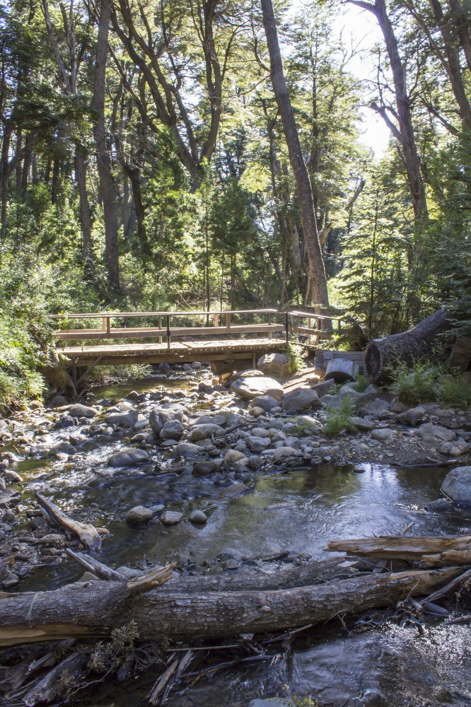 Photograph by Monica Macri