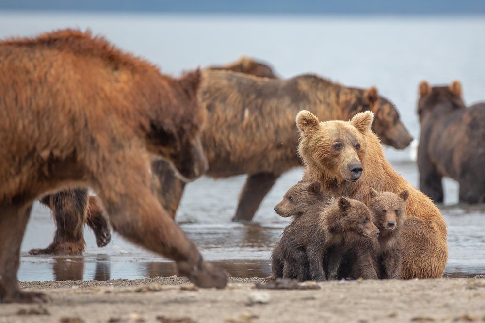 На защите детства