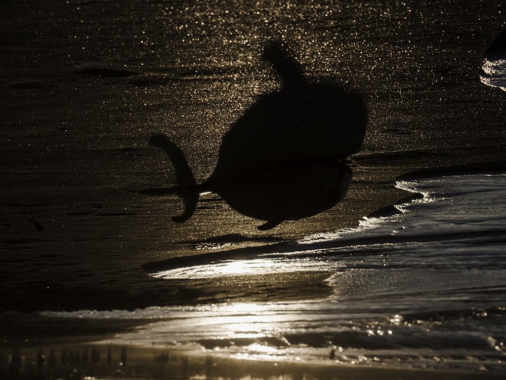 Photograph by Анна Шац