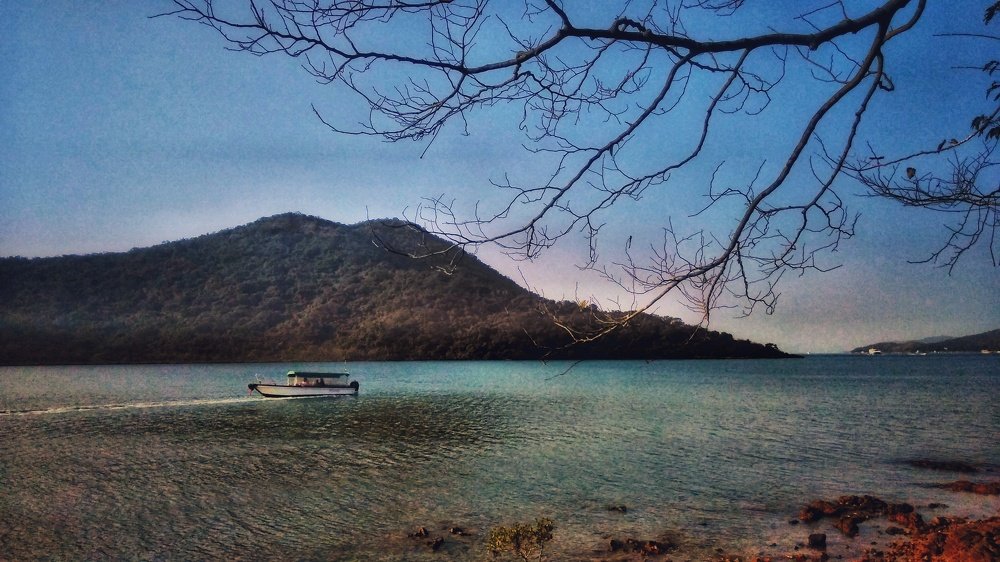 Photograph by Tonette Albo