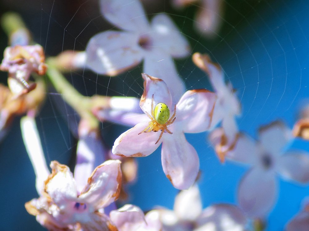 Photograph by Маргарита Федурина