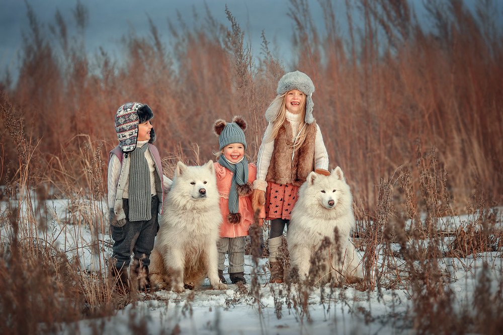 Photograph by Жилина Ирина