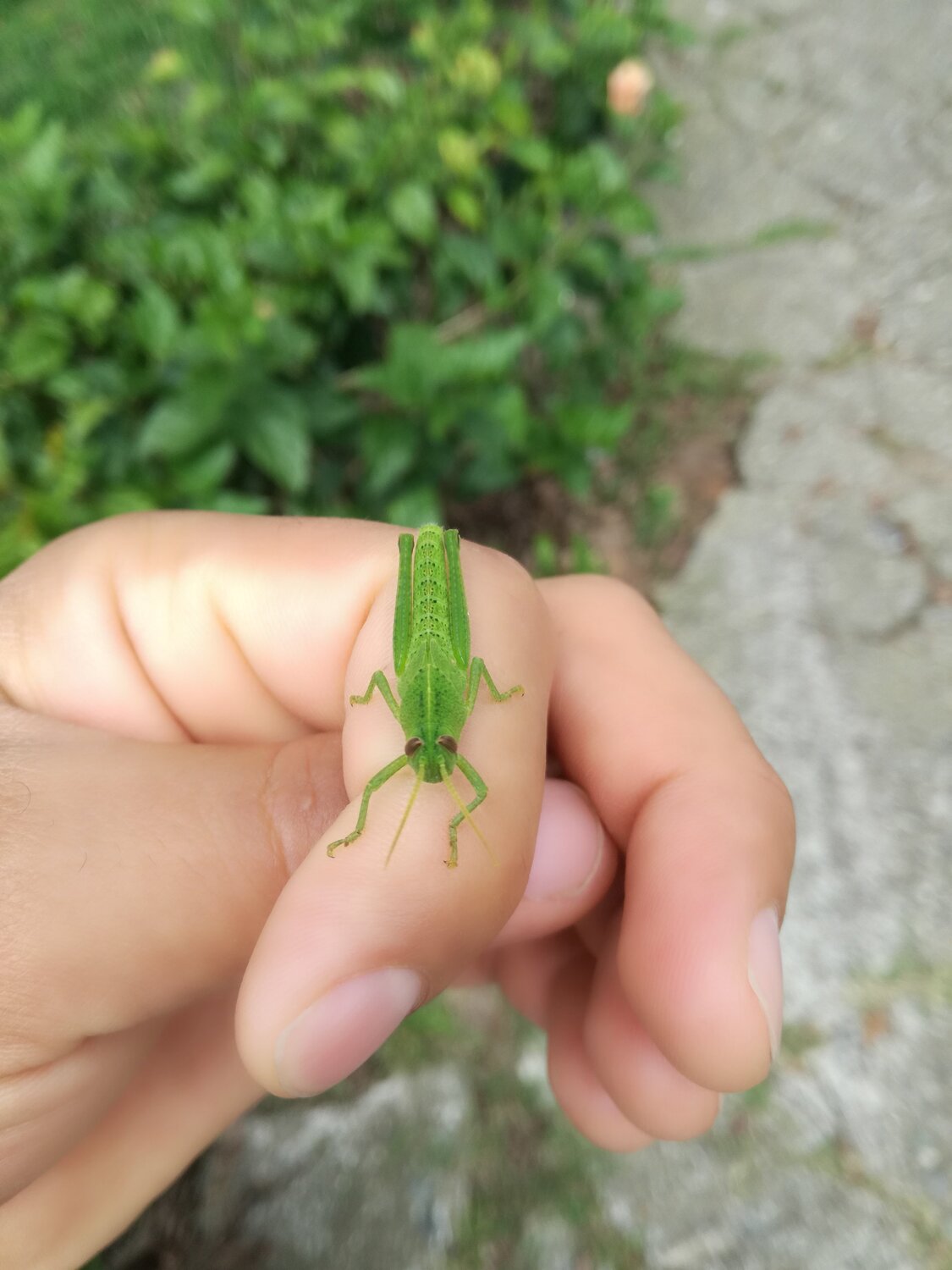 Photo #4289042