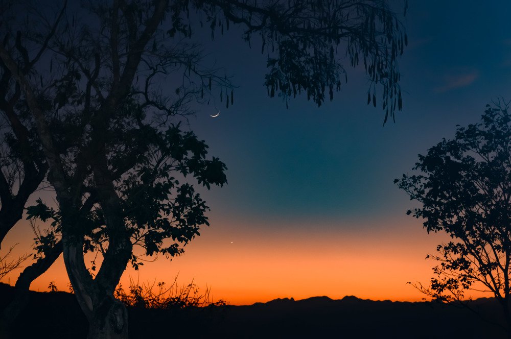 Photograph by Andre Nunes