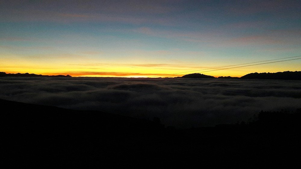 Photo #4289077