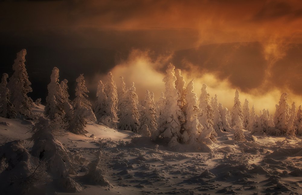 Photograph by Татьяна Бирюкова