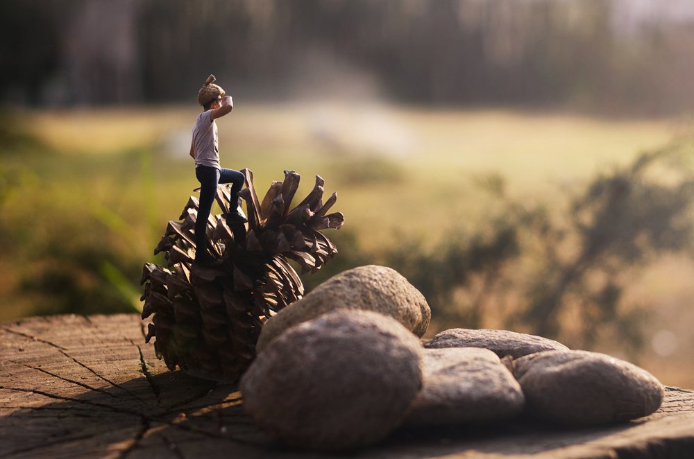 Photograph by José Alfredo Rodríguez Serrano