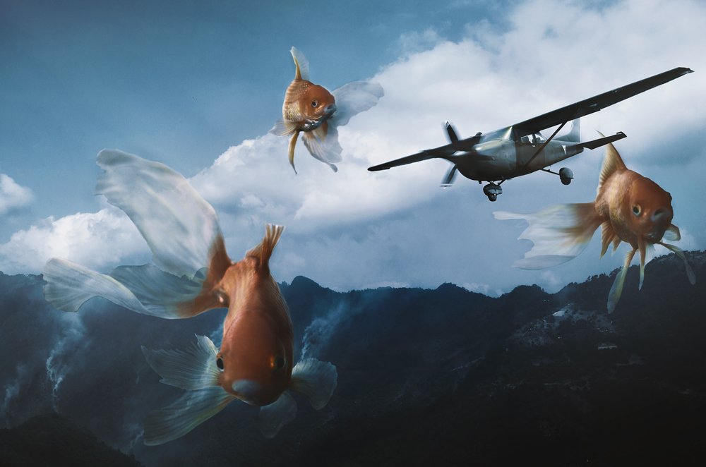 Photograph by José Alfredo Rodríguez Serrano