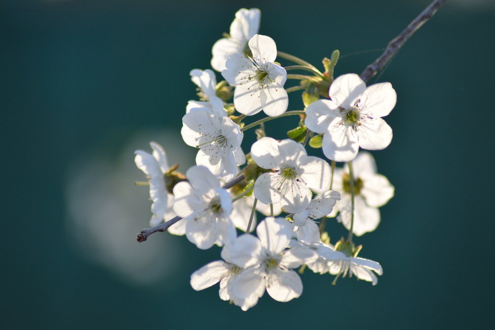 Photograph by Татьяна Кабанец