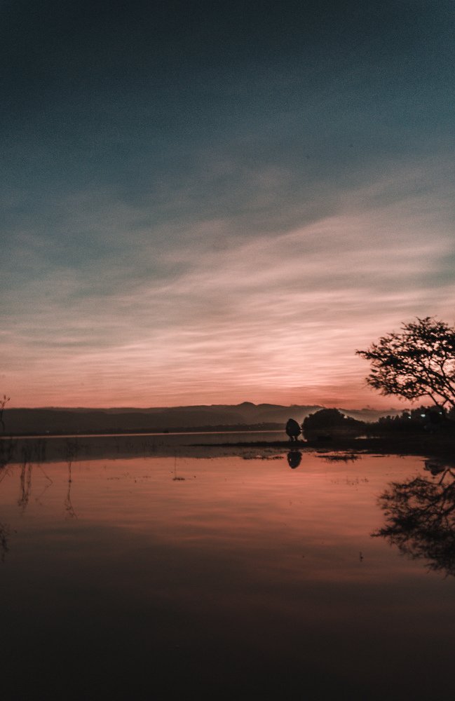 Photograph by Francisco Flores