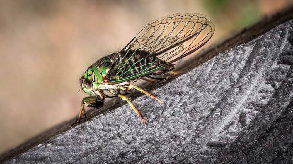 Photograph by Paula Montoya