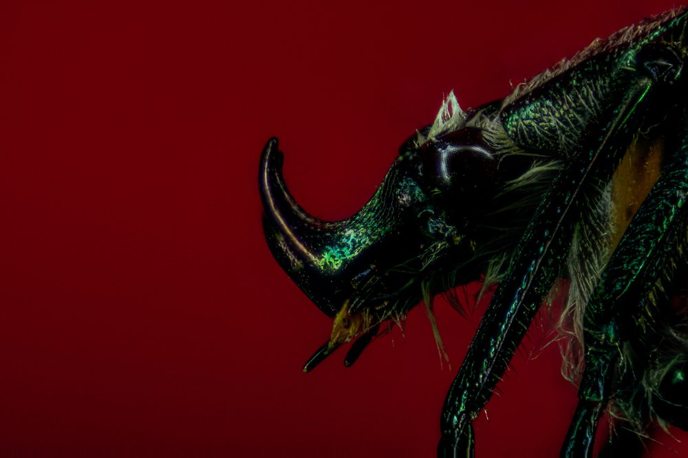 Photograph by Roberto De Leon