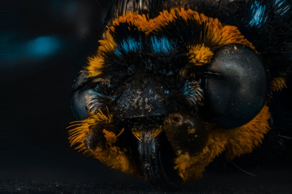 Photograph by Roberto De Leon