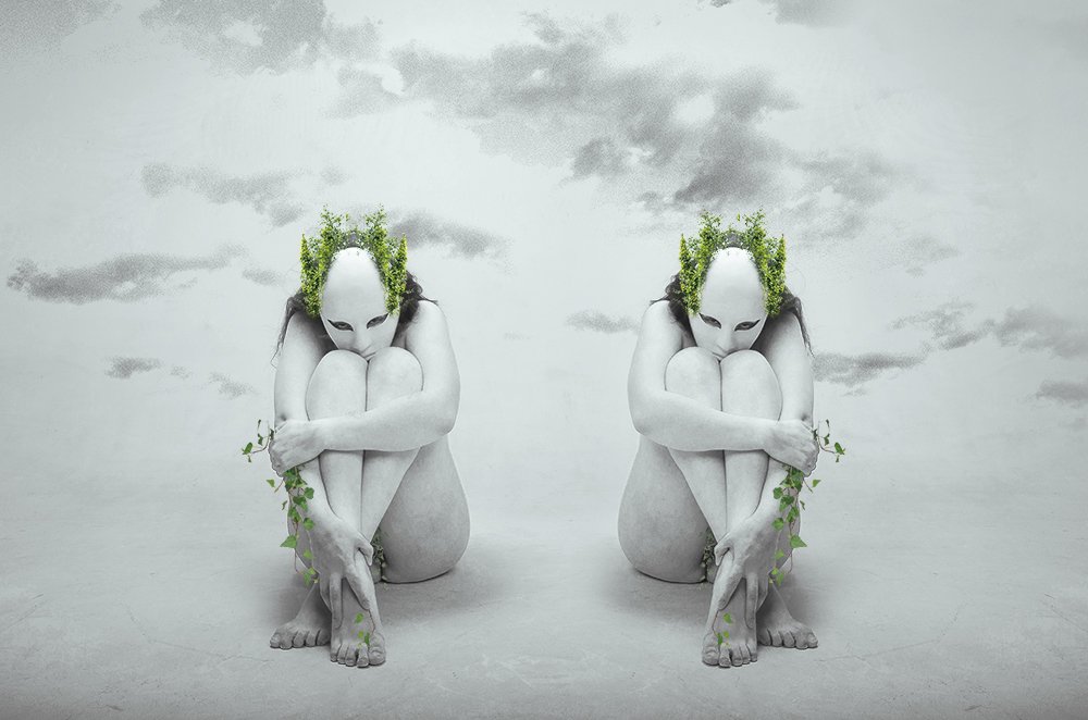 Photograph by Daniel Olivares