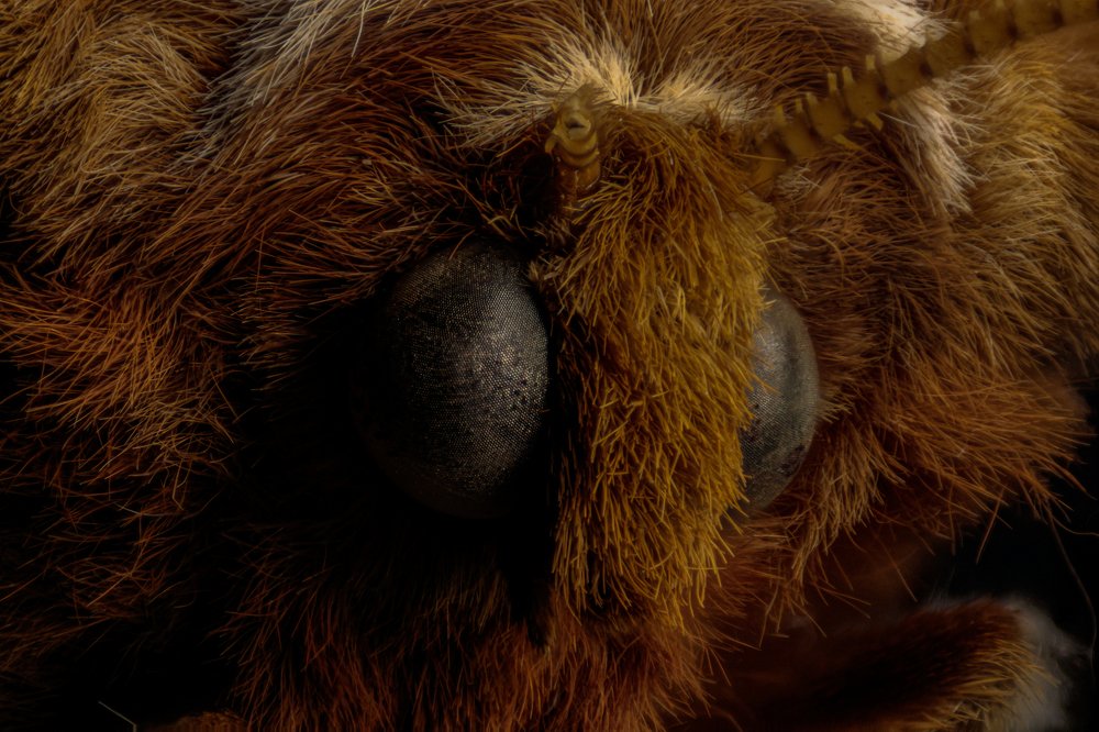 Photograph by Roberto De Leon