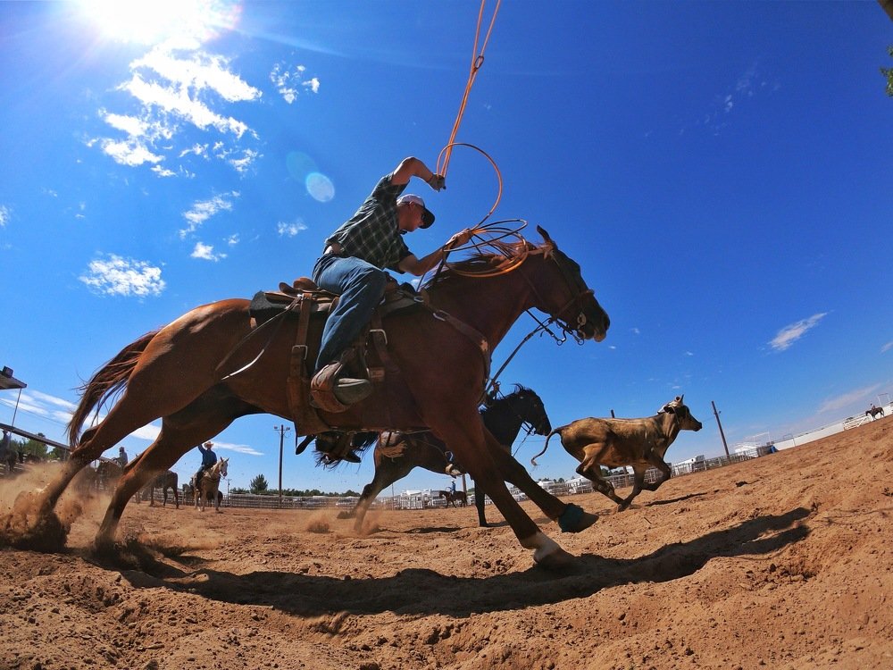 Photograph by Yang-Lin Tai