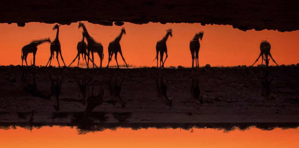 Photograph by Helen McLain