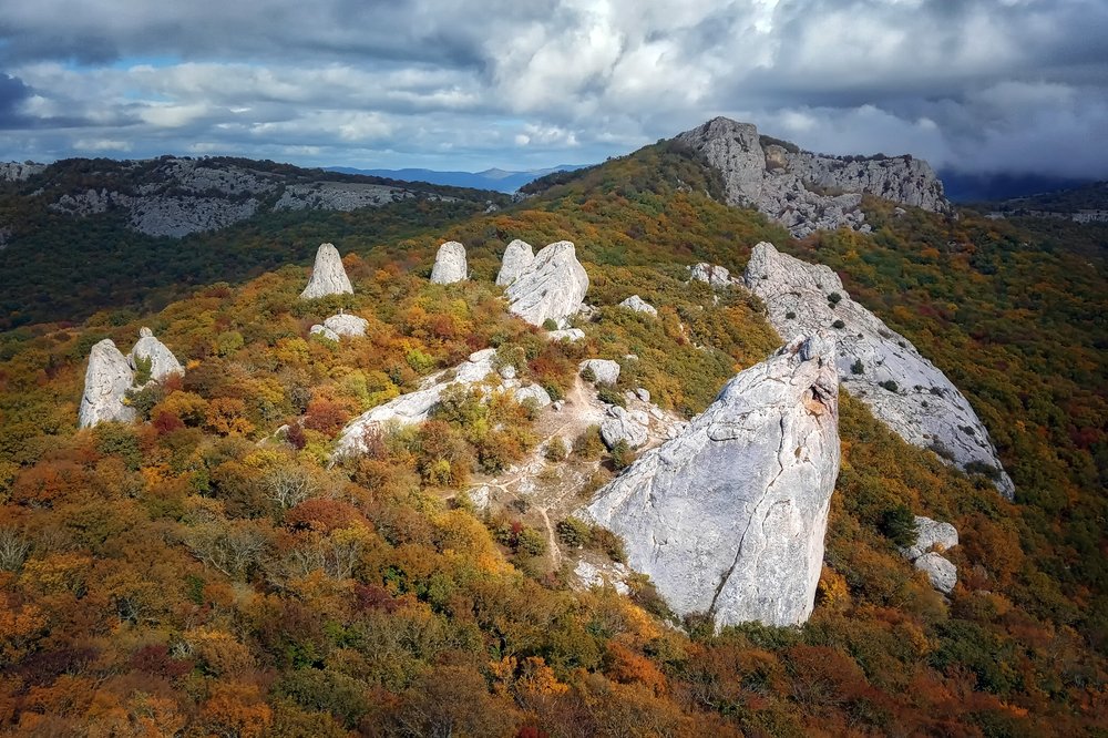 Photograph by Николай Бузмаков