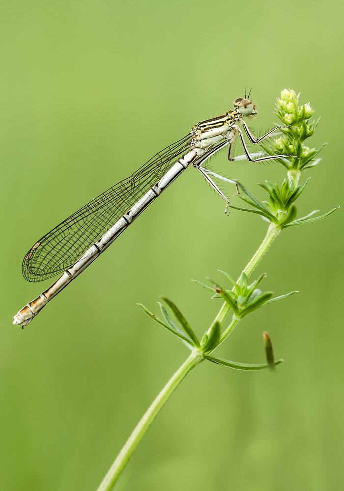 Photograph by Сергей Троицкий